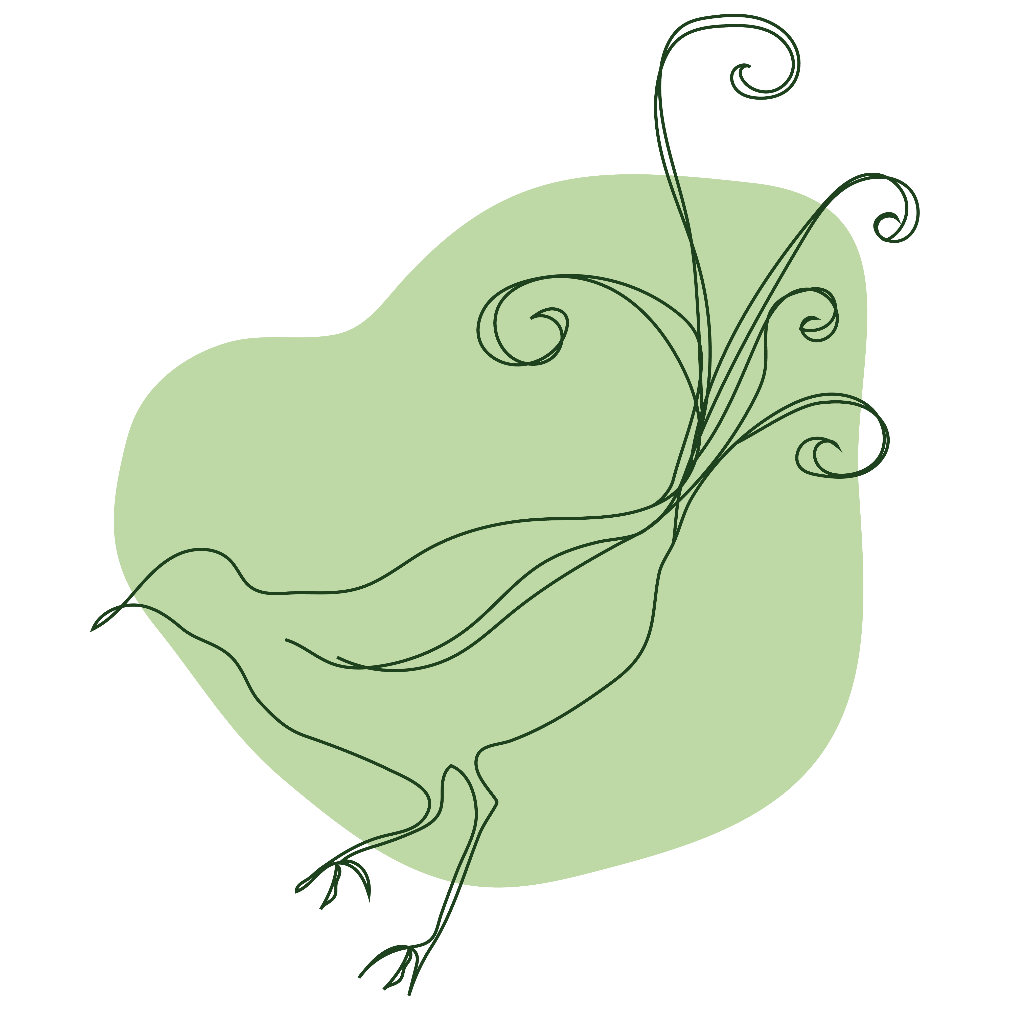 Little-Lyrebirds-Speech-Pathology-icon